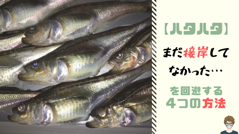 ハタハタの接岸を知る方法|アイキャッチ画像