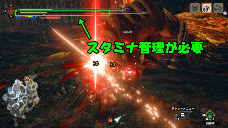 モンハンライズ|双剣はスタミナ管理が必要