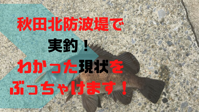 秋田北防波堤が開放!釣果やオススメの釣りをぶっちゃけます!